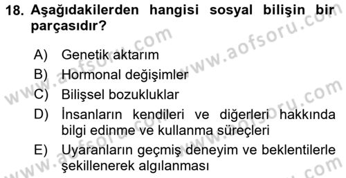 Psikoloji Dersi 2025 - 2026 Yılı (Vize) Ara Sınav Soruları 18. Soru
