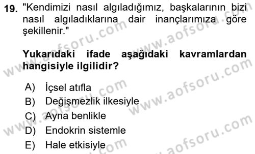 Psikoloji Dersi 2025 - 2026 Yılı (Vize) Ara Sınav Soruları 19. Soru