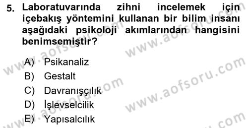 Psikoloji Dersi 2025 - 2026 Yılı (Vize) Ara Sınav Soruları 5. Soru