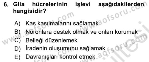 Psikoloji Dersi 2025 - 2026 Yılı (Vize) Ara Sınav Soruları 6. Soru