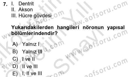 Psikoloji Dersi 2025 - 2026 Yılı (Vize) Ara Sınav Soruları 7. Soru
