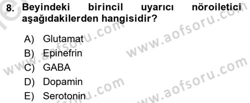Psikoloji Dersi 2025 - 2026 Yılı (Vize) Ara Sınav Soruları 8. Soru