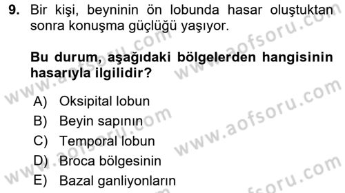 Psikoloji Dersi 2025 - 2026 Yılı (Vize) Ara Sınav Soruları 9. Soru