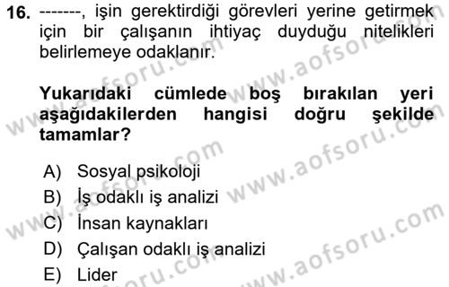 Psikoloji Dersi 2025 - 2026 Yılı (Final) Dönem Sonu Sınav Soruları 16. Soru