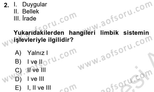 Psikoloji Dersi 2025 - 2026 Yılı (Final) Dönem Sonu Sınav Soruları 2. Soru
