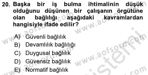 Psikoloji Dersi 2025 - 2026 Yılı (Final) Dönem Sonu Sınav Soruları 20. Soru