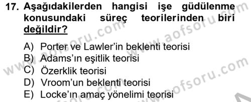 Çalışma Psikolojisi Dersi 2012 - 2013 Yılı (Vize) Ara Sınav Soruları 17. Soru