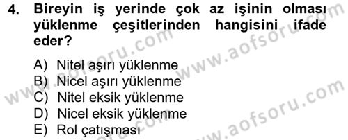Çalışma Psikolojisi Dersi 2012 - 2013 Yılı (Vize) Ara Sınav Soruları 4. Soru