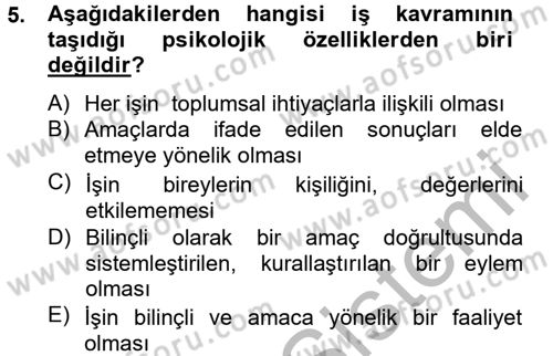 Çalışma Psikolojisi Dersi 2012 - 2013 Yılı (Vize) Ara Sınav Soruları 5. Soru