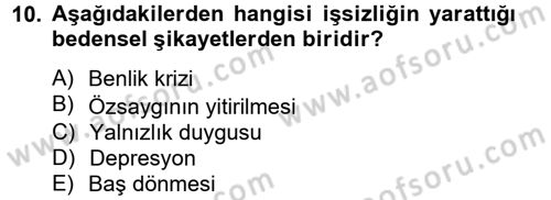 Çalışma Psikolojisi Dersi 2012 - 2013 Yılı (Final) Dönem Sonu Sınav Soruları 10. Soru