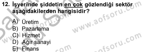 Çalışma Psikolojisi Dersi 2012 - 2013 Yılı (Final) Dönem Sonu Sınav Soruları 12. Soru