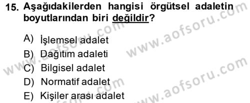 Çalışma Psikolojisi Dersi 2013 - 2014 Yılı (Vize) Ara Sınav Soruları 15. Soru