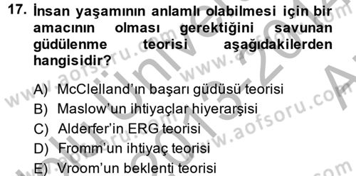 Çalışma Psikolojisi Dersi 2013 - 2014 Yılı (Vize) Ara Sınav Soruları 17. Soru