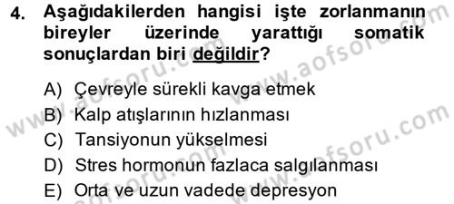 Çalışma Psikolojisi Dersi 2013 - 2014 Yılı (Vize) Ara Sınav Soruları 4. Soru
