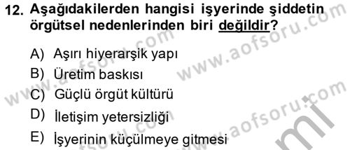 Çalışma Psikolojisi Dersi 2013 - 2014 Yılı (Final) Dönem Sonu Sınav Soruları 12. Soru