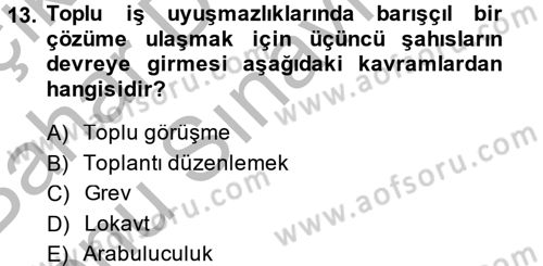 Çalışma Psikolojisi Dersi 2013 - 2014 Yılı (Final) Dönem Sonu Sınav Soruları 13. Soru