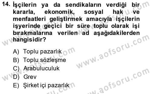 Çalışma Psikolojisi Dersi 2013 - 2014 Yılı (Final) Dönem Sonu Sınav Soruları 14. Soru