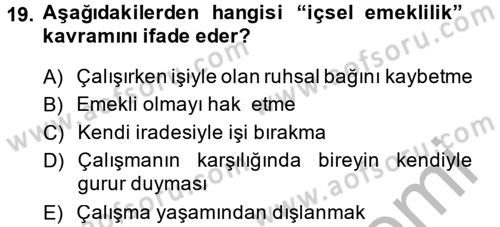 Çalışma Psikolojisi Dersi 2013 - 2014 Yılı (Final) Dönem Sonu Sınav Soruları 19. Soru