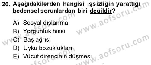 Çalışma Psikolojisi Dersi 2013 - 2014 Yılı (Final) Dönem Sonu Sınav Soruları 20. Soru