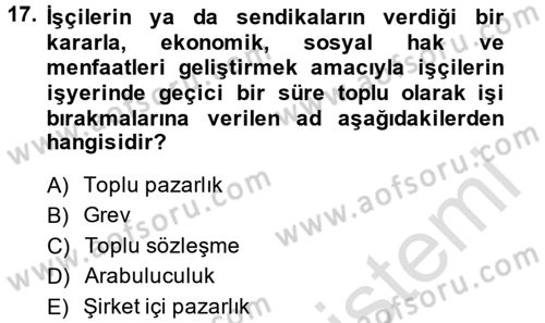 Çalışma Psikolojisi Dersi 2013 - 2014 Yılı Tek Ders Sınav Soruları 17. Soru