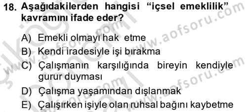 Çalışma Psikolojisi Dersi 2013 - 2014 Yılı Tek Ders Sınav Soruları 18. Soru