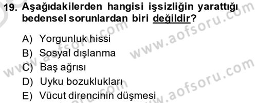 Çalışma Psikolojisi Dersi 2013 - 2014 Yılı Tek Ders Sınav Soruları 19. Soru