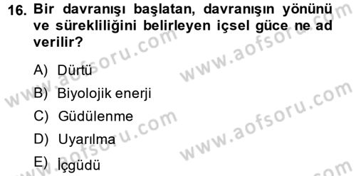 Çalışma Psikolojisi Dersi 2014 - 2015 Yılı (Vize) Ara Sınav Soruları 16. Soru