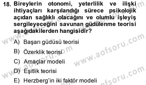 Çalışma Psikolojisi Dersi 2014 - 2015 Yılı (Vize) Ara Sınav Soruları 18. Soru