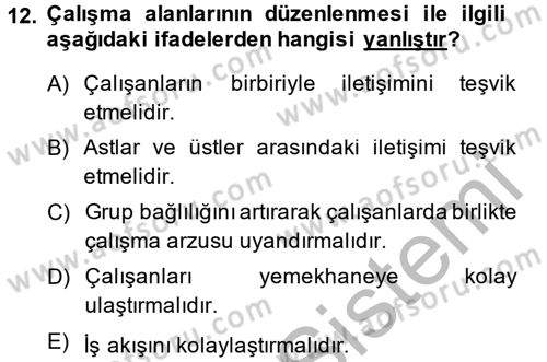 Çalışma Psikolojisi Dersi 2014 - 2015 Yılı (Final) Dönem Sonu Sınav Soruları 12. Soru