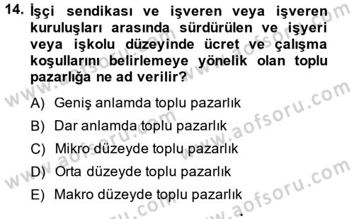 Çalışma Psikolojisi Dersi 2014 - 2015 Yılı (Final) Dönem Sonu Sınav Soruları 14. Soru