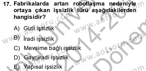 Çalışma Psikolojisi Dersi 2014 - 2015 Yılı (Final) Dönem Sonu Sınav Soruları 17. Soru