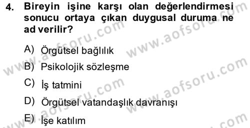 Çalışma Psikolojisi Dersi 2014 - 2015 Yılı (Final) Dönem Sonu Sınav Soruları 4. Soru