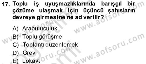 Çalışma Psikolojisi Dersi 2014 - 2015 Yılı Tek Ders Sınav Soruları 17. Soru