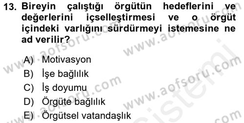 Çalışma Psikolojisi Dersi 2015 - 2016 Yılı (Vize) Ara Sınav Soruları 13. Soru