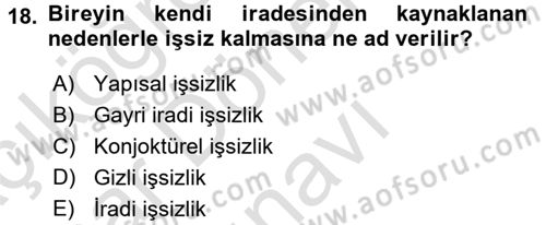 Çalışma Psikolojisi Dersi 2015 - 2016 Yılı (Final) Dönem Sonu Sınav Soruları 18. Soru