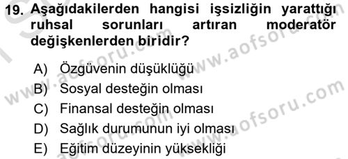 Çalışma Psikolojisi Dersi 2015 - 2016 Yılı (Final) Dönem Sonu Sınav Soruları 19. Soru