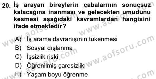 Çalışma Psikolojisi Dersi 2015 - 2016 Yılı (Final) Dönem Sonu Sınav Soruları 20. Soru