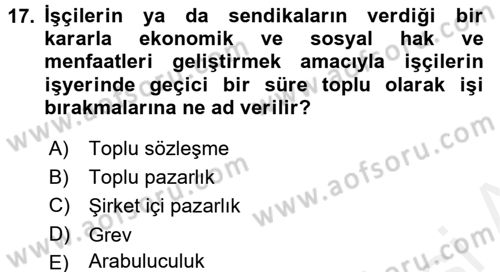 Çalışma Psikolojisi Dersi 2015 - 2016 Yılı Tek Ders Sınav Soruları 17. Soru