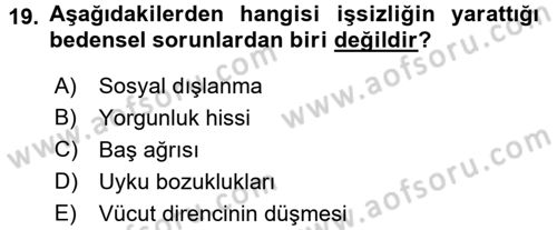 Çalışma Psikolojisi Dersi 2015 - 2016 Yılı Tek Ders Sınav Soruları 19. Soru