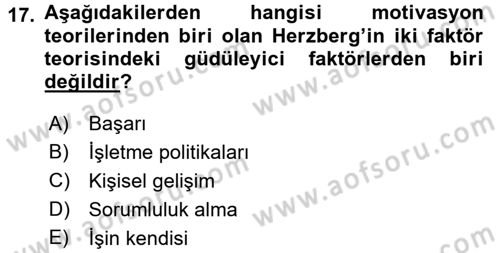 Çalışma Psikolojisi Dersi 2016 - 2017 Yılı (Vize) Ara Sınav Soruları 17. Soru