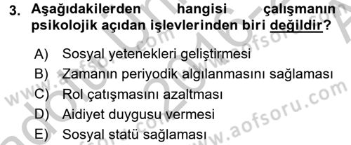 Çalışma Psikolojisi Dersi 2016 - 2017 Yılı (Vize) Ara Sınav Soruları 3. Soru