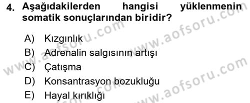 Çalışma Psikolojisi Dersi 2016 - 2017 Yılı (Vize) Ara Sınav Soruları 4. Soru