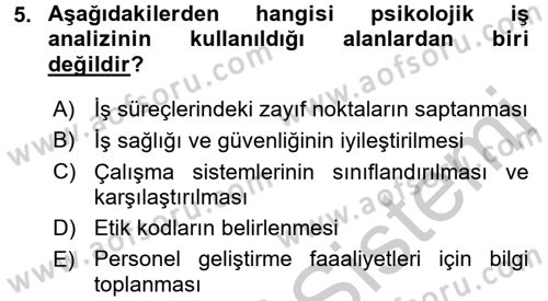 Çalışma Psikolojisi Dersi 2016 - 2017 Yılı (Vize) Ara Sınav Soruları 5. Soru