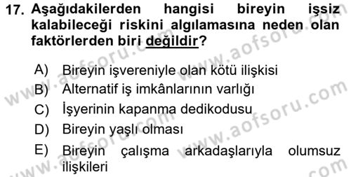 Çalışma Psikolojisi Dersi 2016 - 2017 Yılı (Final) Dönem Sonu Sınav Soruları 17. Soru