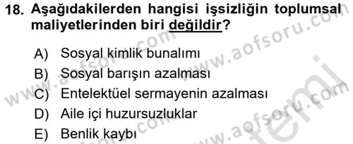 Çalışma Psikolojisi Dersi 2016 - 2017 Yılı (Final) Dönem Sonu Sınav Soruları 18. Soru