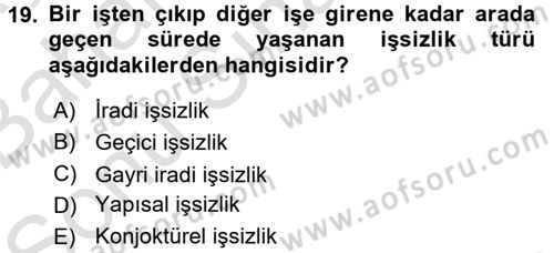 Çalışma Psikolojisi Dersi 2016 - 2017 Yılı (Final) Dönem Sonu Sınav Soruları 19. Soru