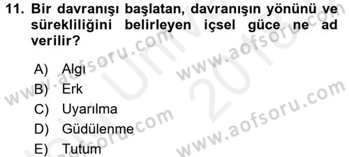 Çalışma Psikolojisi Dersi 2017 - 2018 Yılı 3 Ders Sınav Soruları 11. Soru