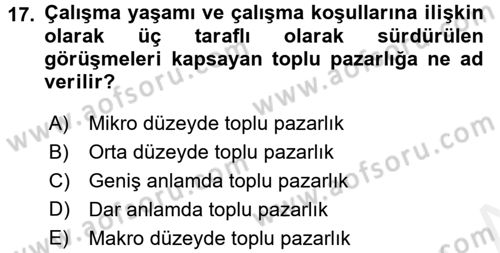 Çalışma Psikolojisi Dersi 2017 - 2018 Yılı 3 Ders Sınav Soruları 17. Soru