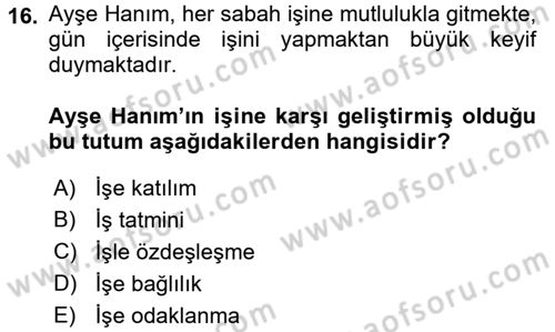 Çalışma Psikolojisi Dersi 2017 - 2018 Yılı (Vize) Ara Sınav Soruları 16. Soru