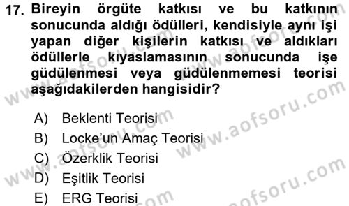 Çalışma Psikolojisi Dersi 2017 - 2018 Yılı (Vize) Ara Sınav Soruları 17. Soru